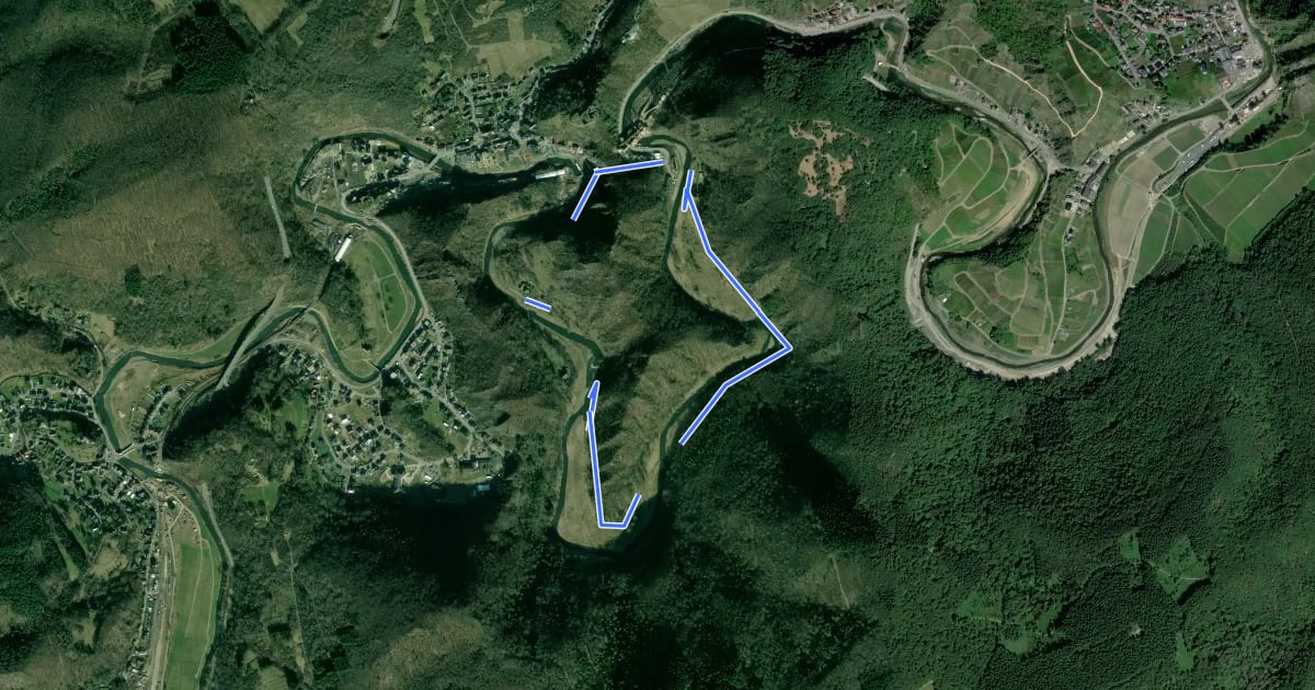 Маршрут Altenahr Rundweg 1 на спутниковом снимке