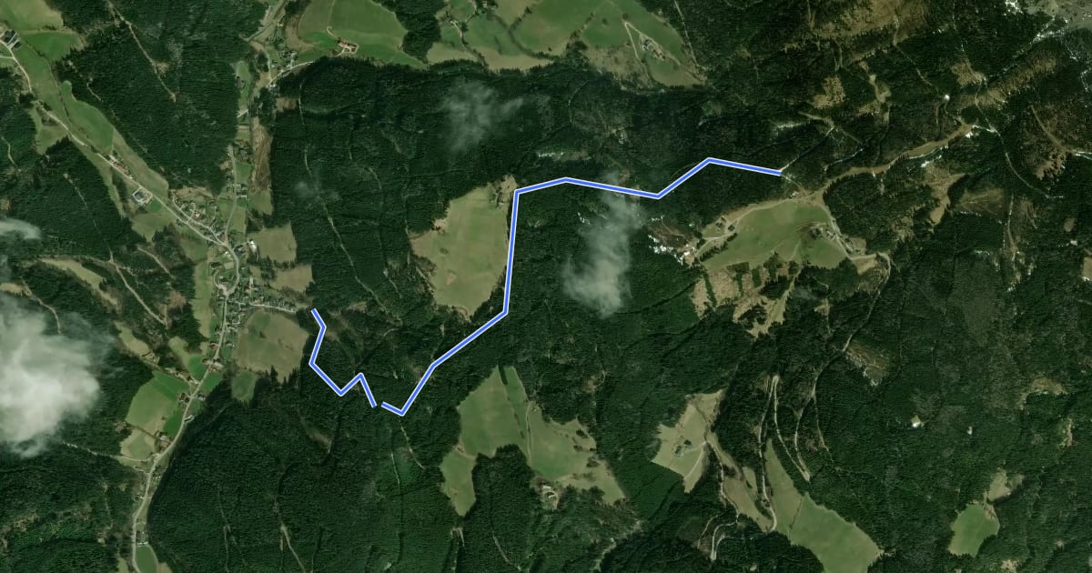 Маршрут Altenberg - Kaiserstein - Moassa на спутниковом снимке