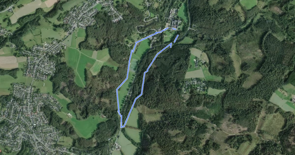 Маршрут Altenberg Rundweg A1 на спутниковом снимке