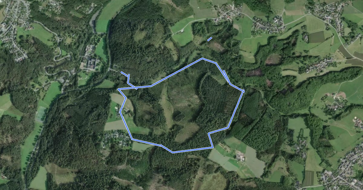 Маршрут Altenberg Rundweg A10 на спутниковом снимке