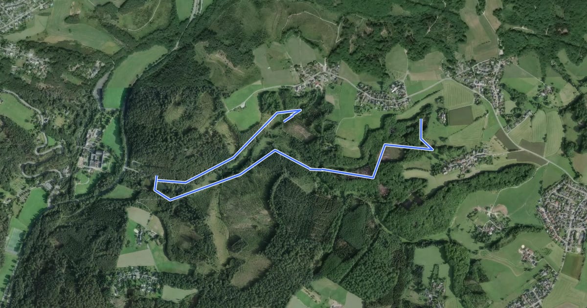 Маршрут Altenberg Rundweg A6 на спутниковом снимке