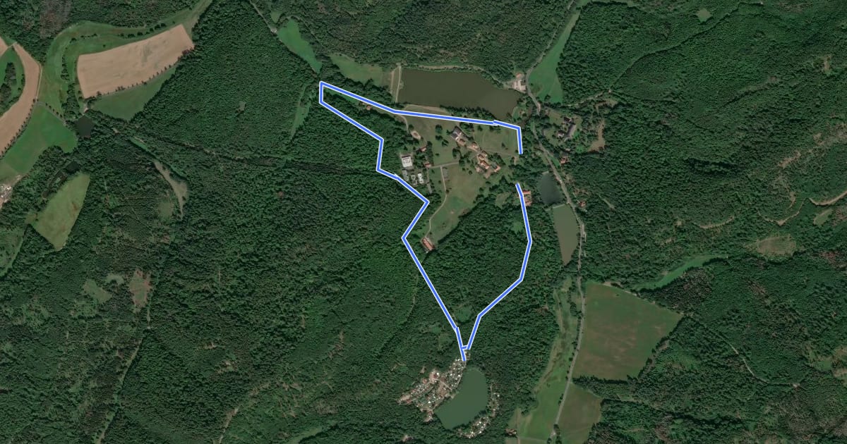 Маршрут Altenberger See Rundwanderweg 1 на спутниковом снимке