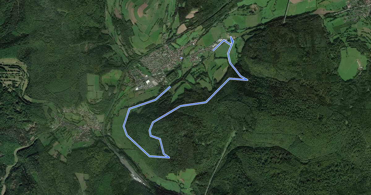 Маршрут Altengronau - Rundweg am Grauberg - Tanne на спутниковом снимке