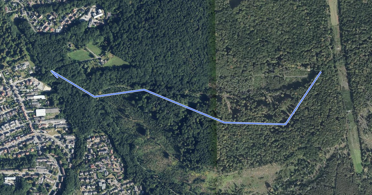 Маршрут Alter Holzweg Rundweg A5 на спутниковом снимке