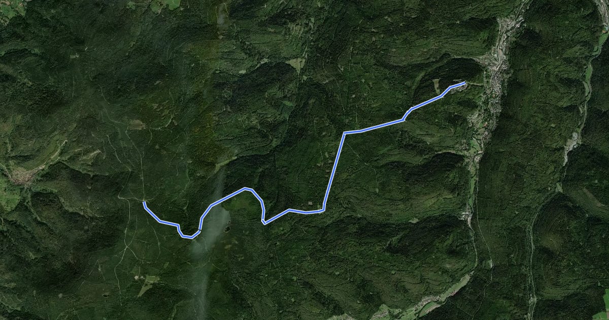 Маршрут Alternativer Einstieg zum Schwarzwälder Höhenradweg West на спутниковом снимке