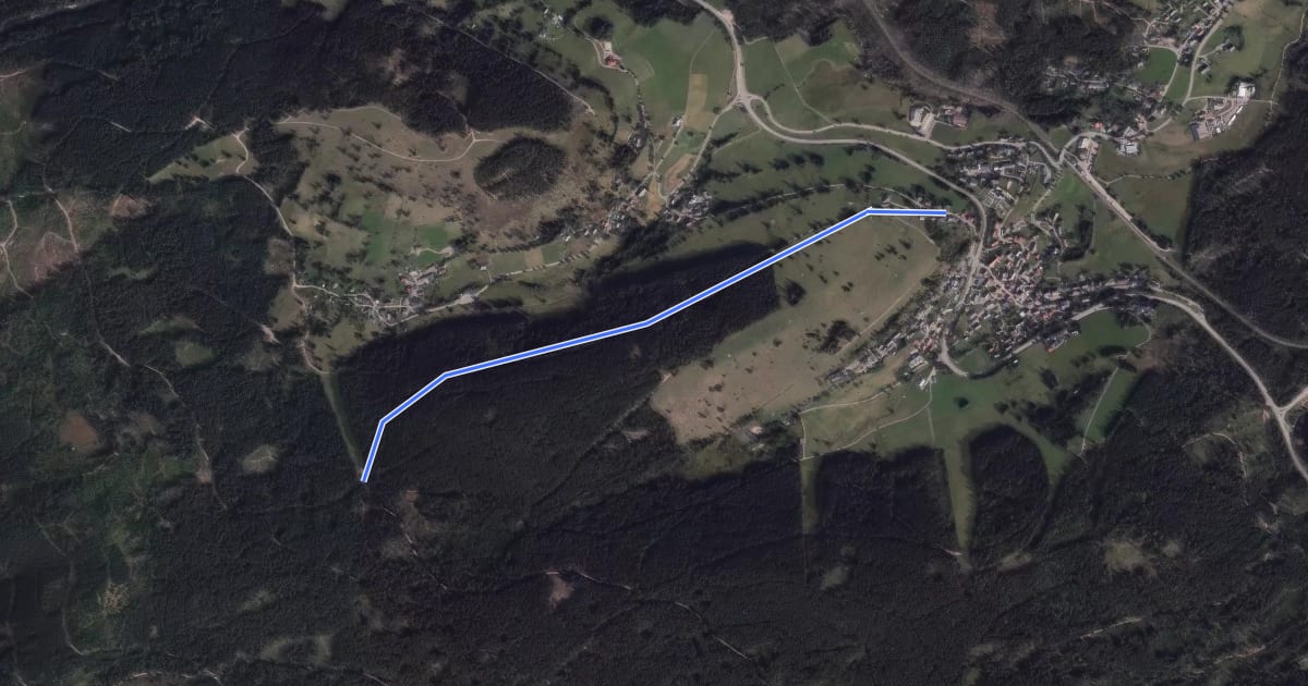 Маршрут Altglashütten Schachenweg - Bärhaldenweg на спутниковом снимке
