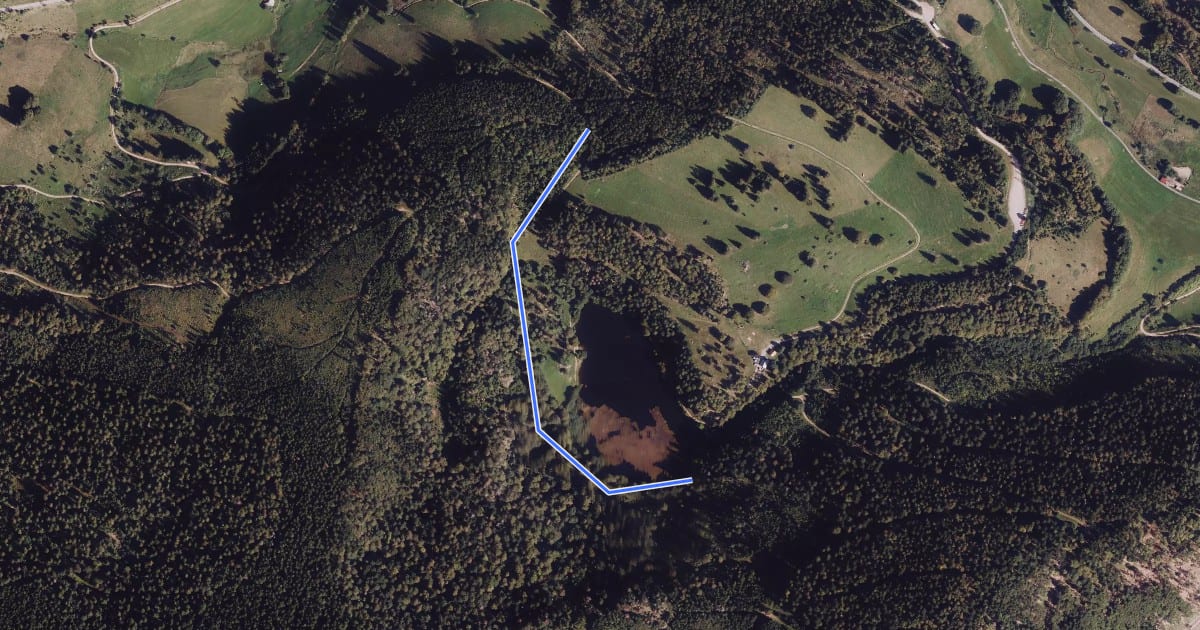 Маршрут Althütte - Nonnenmattweiher на спутниковом снимке