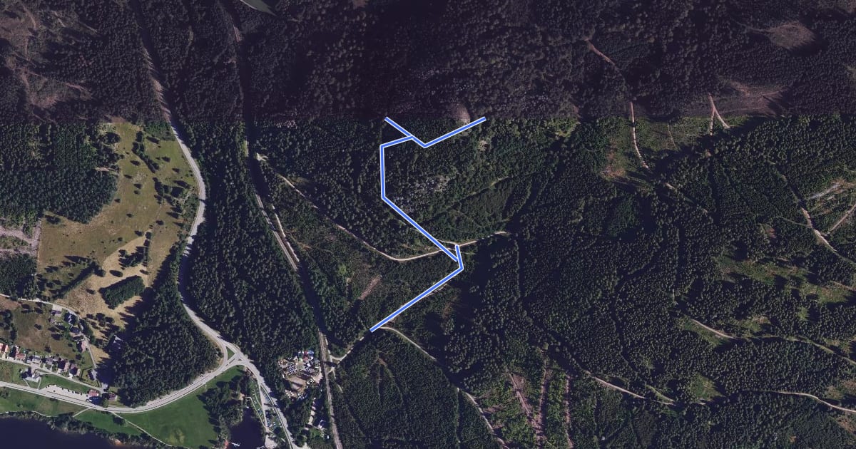 Маршрут Am Bildstein - Bildsteinweg на спутниковом снимке
