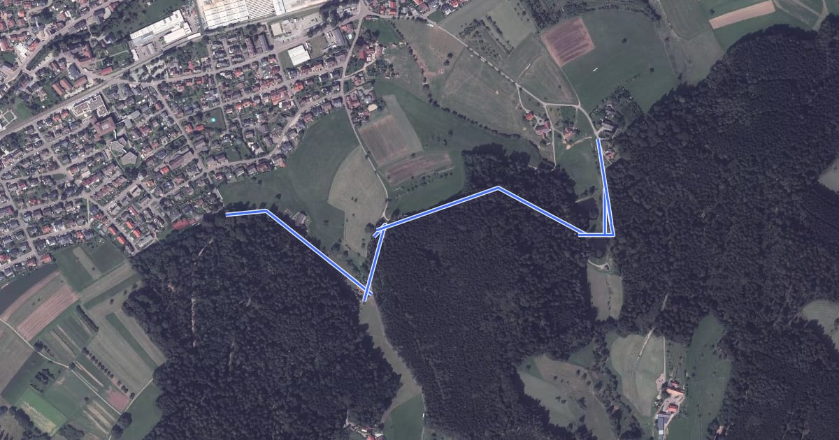 Маршрут Am Buchenwaldhof - Wiesenwald на спутниковом снимке