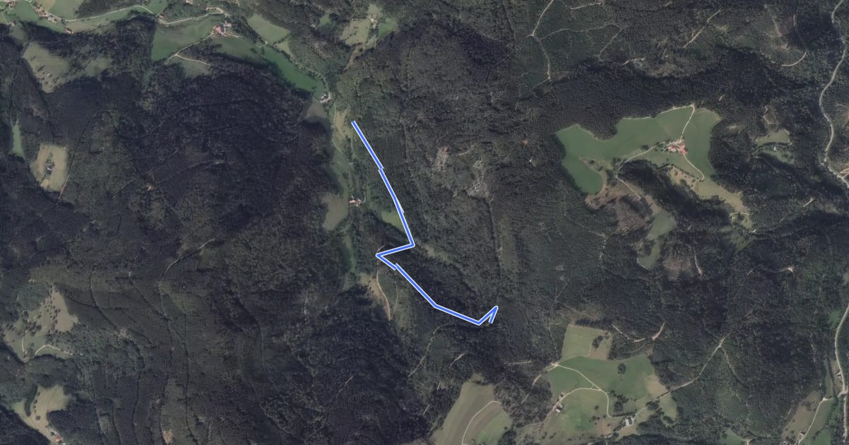 Маршрут Am Fischergrundweg - Ober den Siebenfelsen на спутниковом снимке