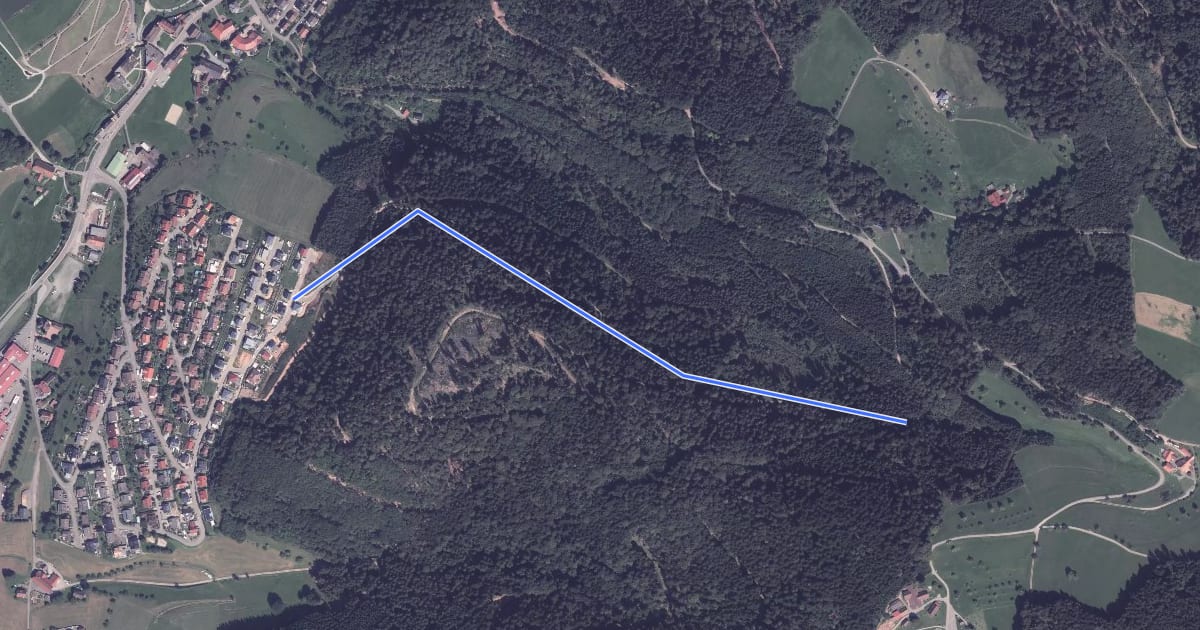 Маршрут Am Grafenberg - Schwarzeburewald на спутниковом снимке
