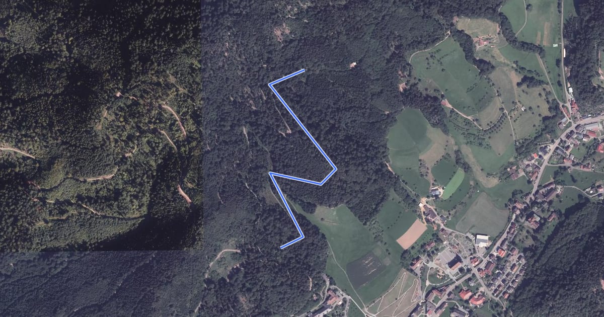 Маршрут Am Karlswegle - Winkelwald на спутниковом снимке