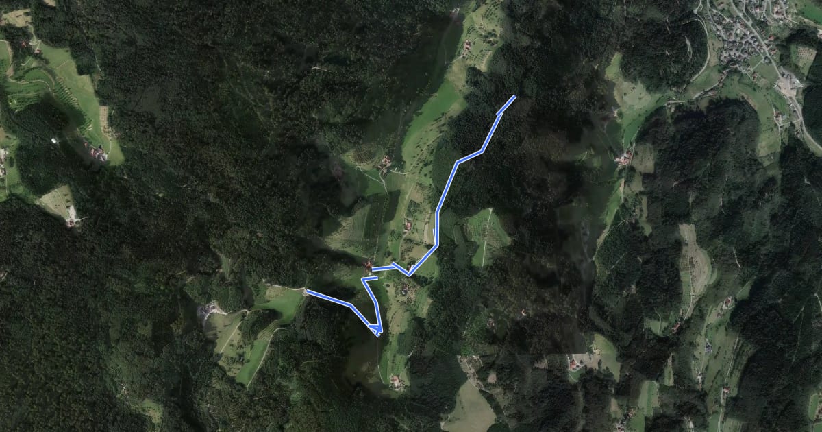 Маршрут Am Kohleck - Simmersbacher Kreuz на спутниковом снимке