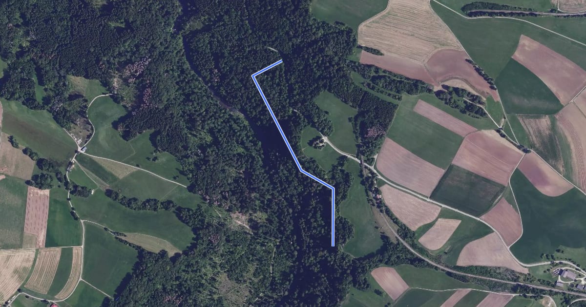 Маршрут Am mittleren Flühenweg - Mittlerer Flühenweg на спутниковом снимке
