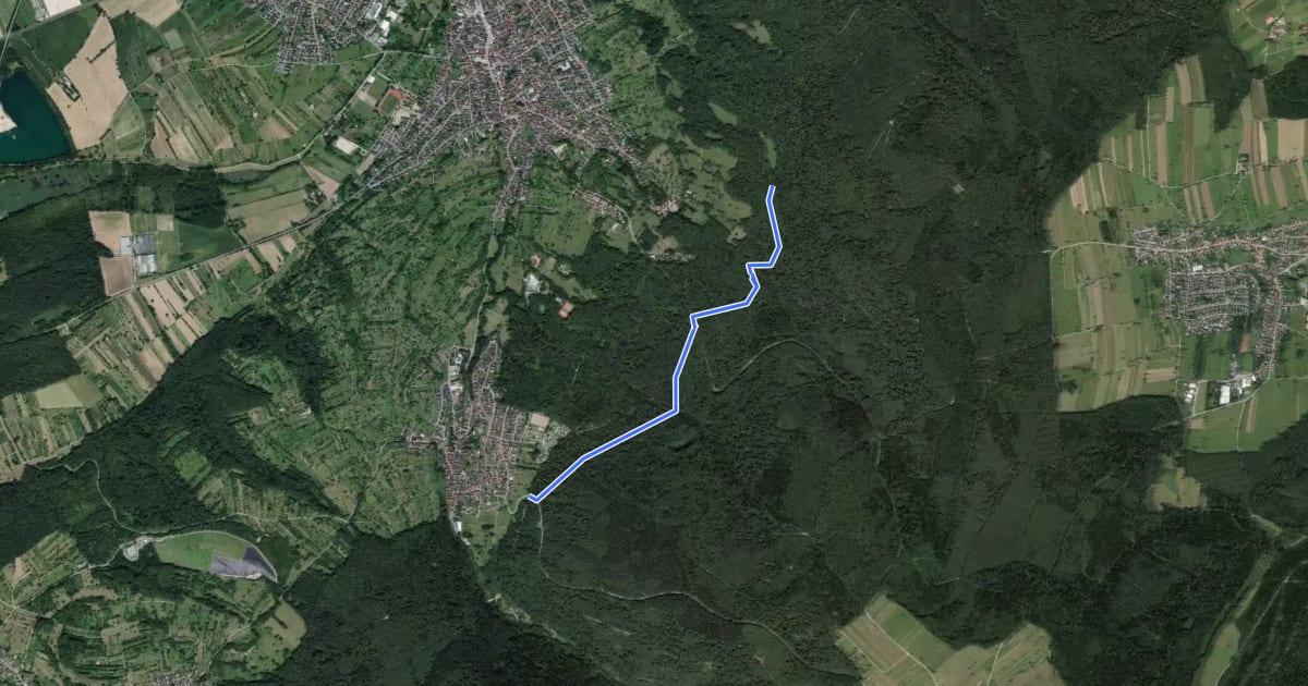 Маршрут Am Pfad - Rottwiesenweg на спутниковом снимке