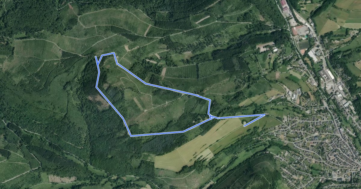 Маршрут Am Rees Rundweg A2 на спутниковом снимке