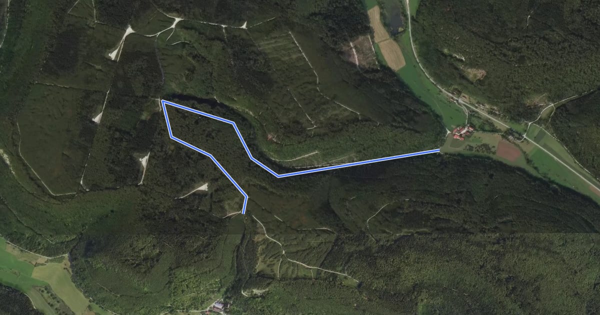 Маршрут Am Schweizer Tal - Amtenhauser Berg на спутниковом снимке