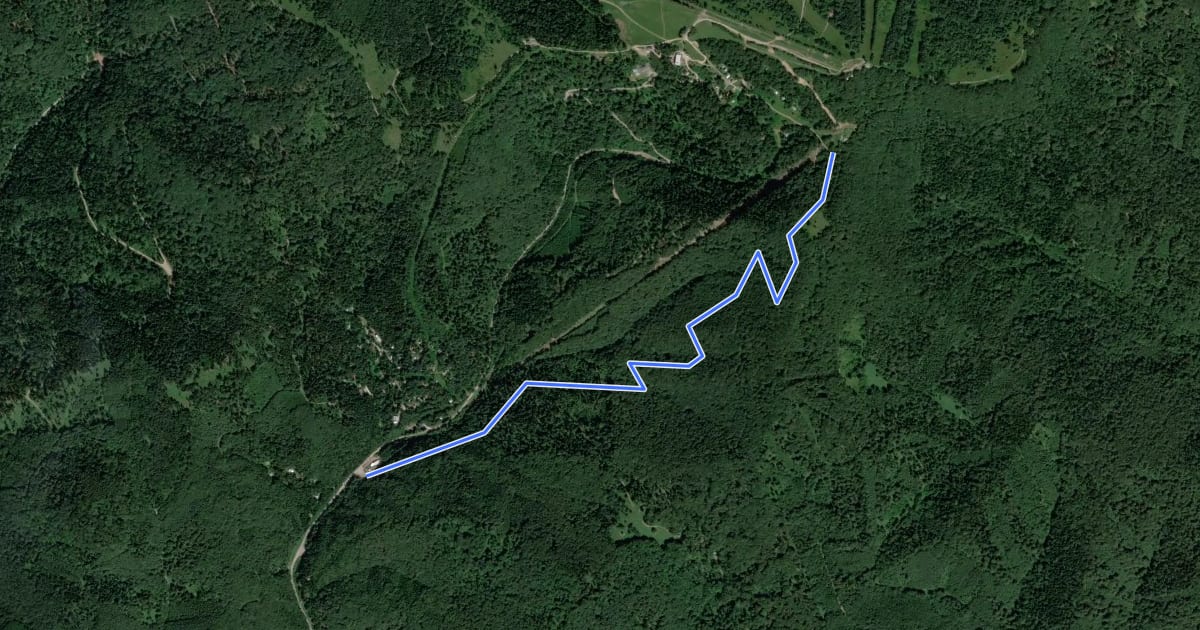 Маршрут AM trail на спутниковом снимке