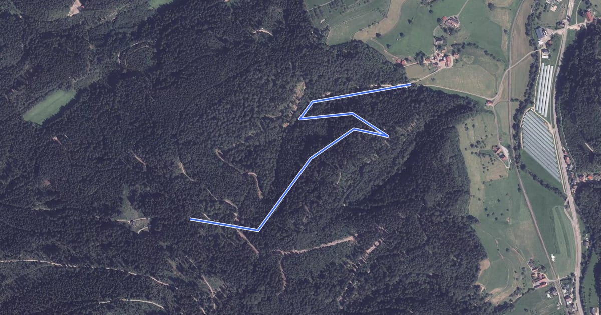 Маршрут Am Wald - Bühlhöfe Hinterbühl на спутниковом снимке