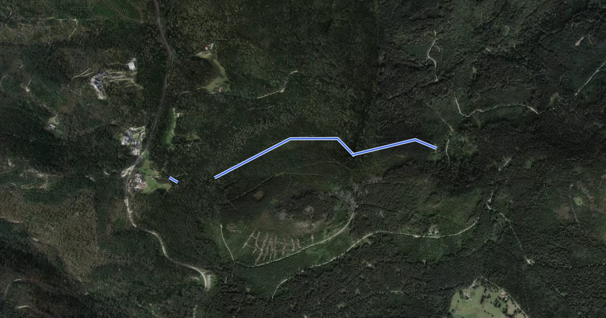 Маршрут Am Wildnispfad - Brautstein на спутниковом снимке