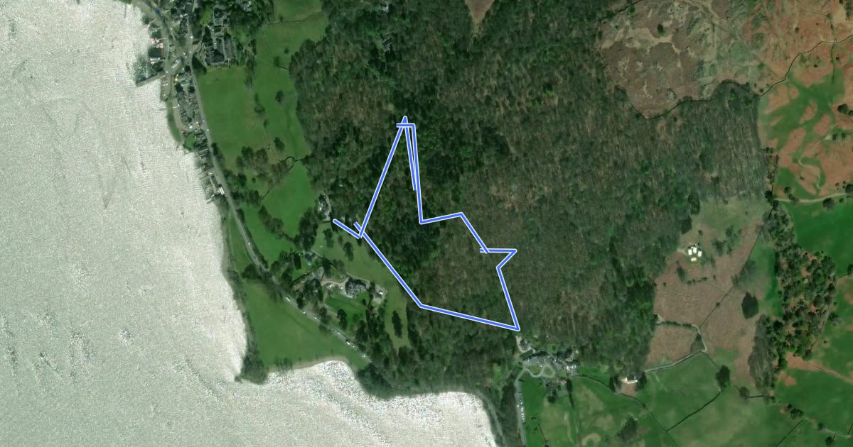 Маршрут Ambleside Champion Tree Trail, Windermere на спутниковом снимке