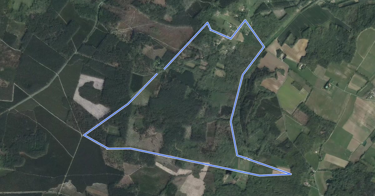 Маршрут Ambrus, la balade forestière de Pelane - 7.3 km на спутниковом снимке