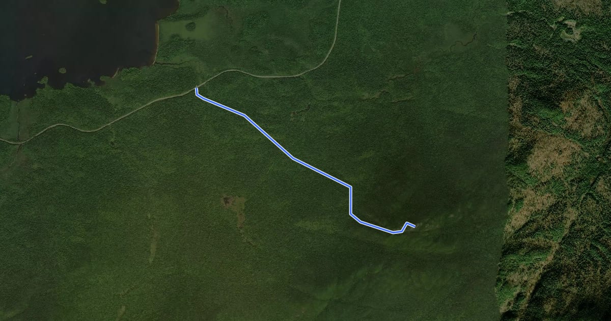Маршрут Ampersand Mountain Trail на спутниковом снимке