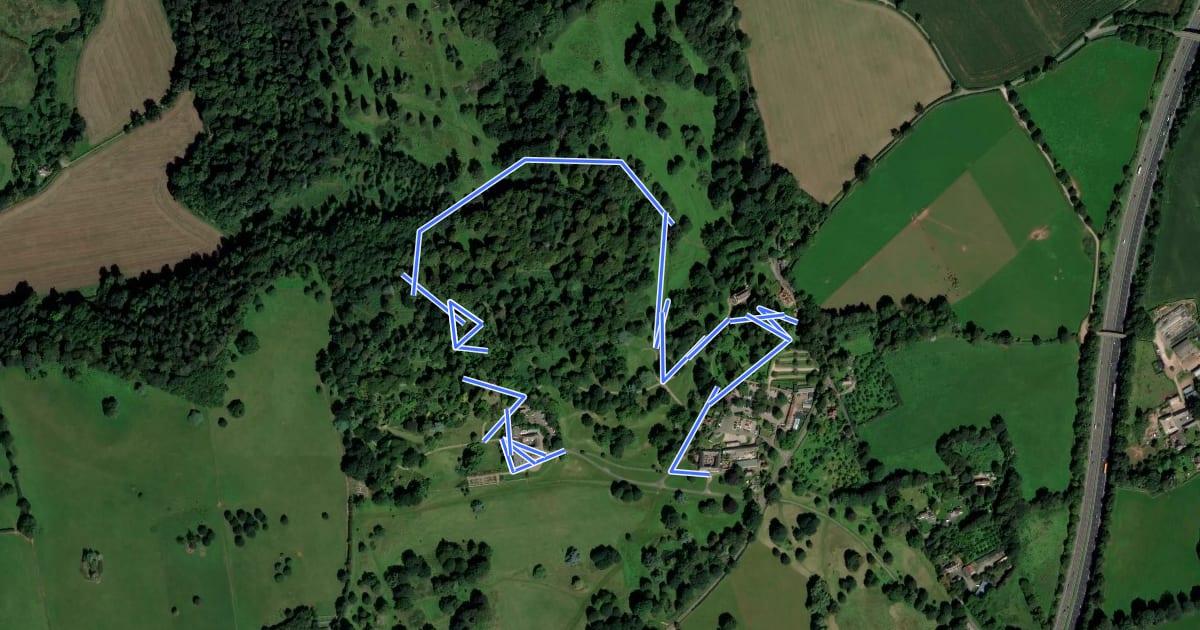 Маршрут Ancient Trees Walk, Killerton на спутниковом снимке