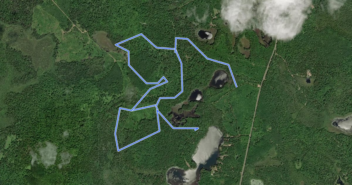 Маршрут Anderson Lake Pathway на спутниковом снимке