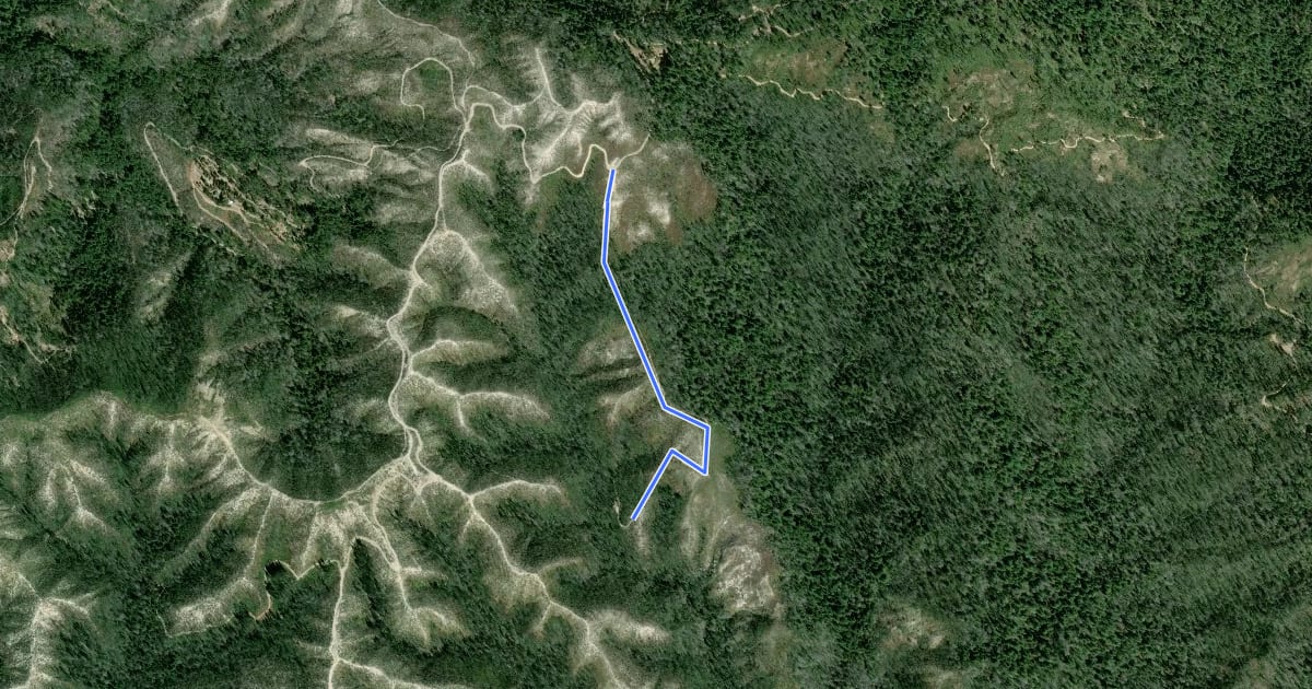 Маршрут Anderson Landing Road на спутниковом снимке