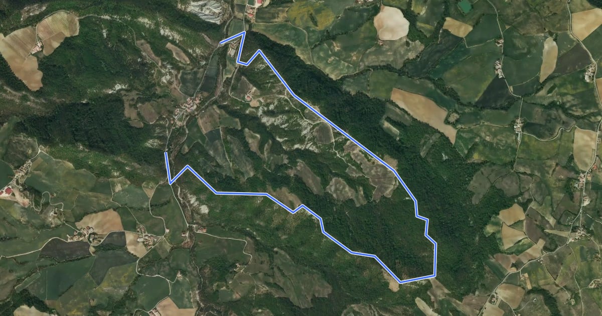 Маршрут Anello del Monte Sereno на спутниковом снимке
