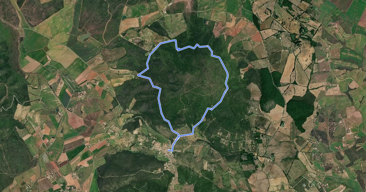 Маршрут Anello di Monteti на спутниковом снимке
