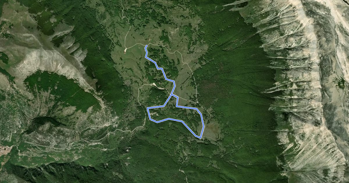 Маршрут Anello di Passo San Leonardo на спутниковом снимке