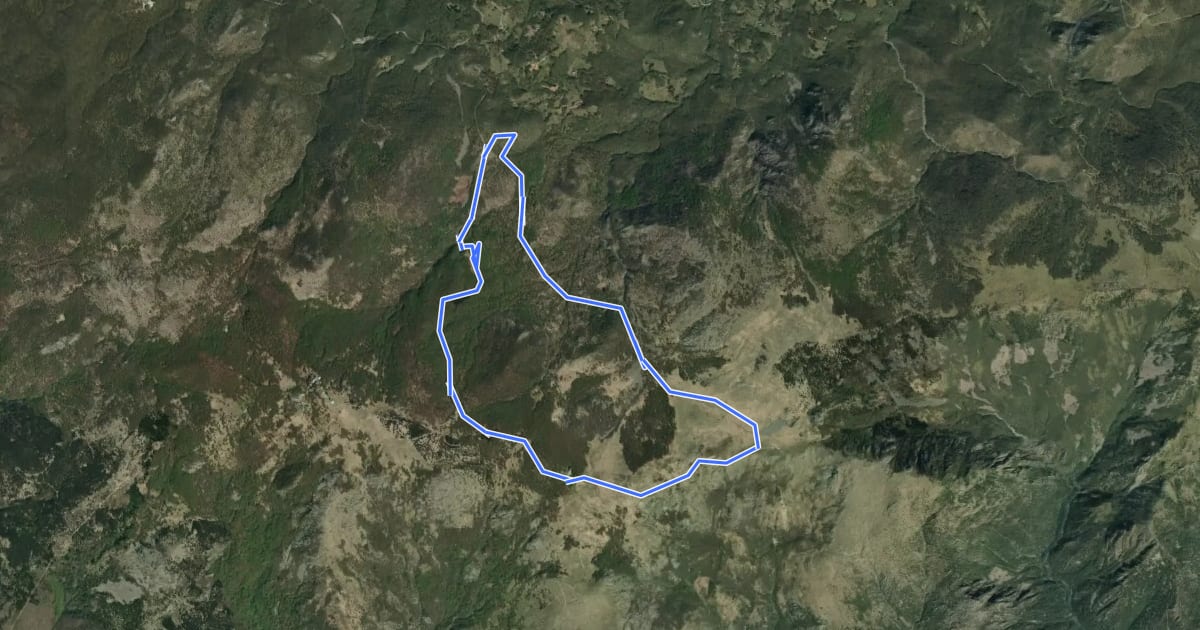 Маршрут Anello Sentiero Natura Torbiera del Laione на спутниковом снимке