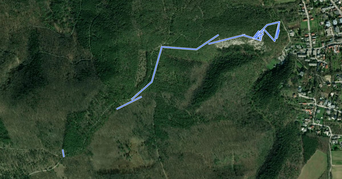 Маршрут Anninger Trail на спутниковом снимке
