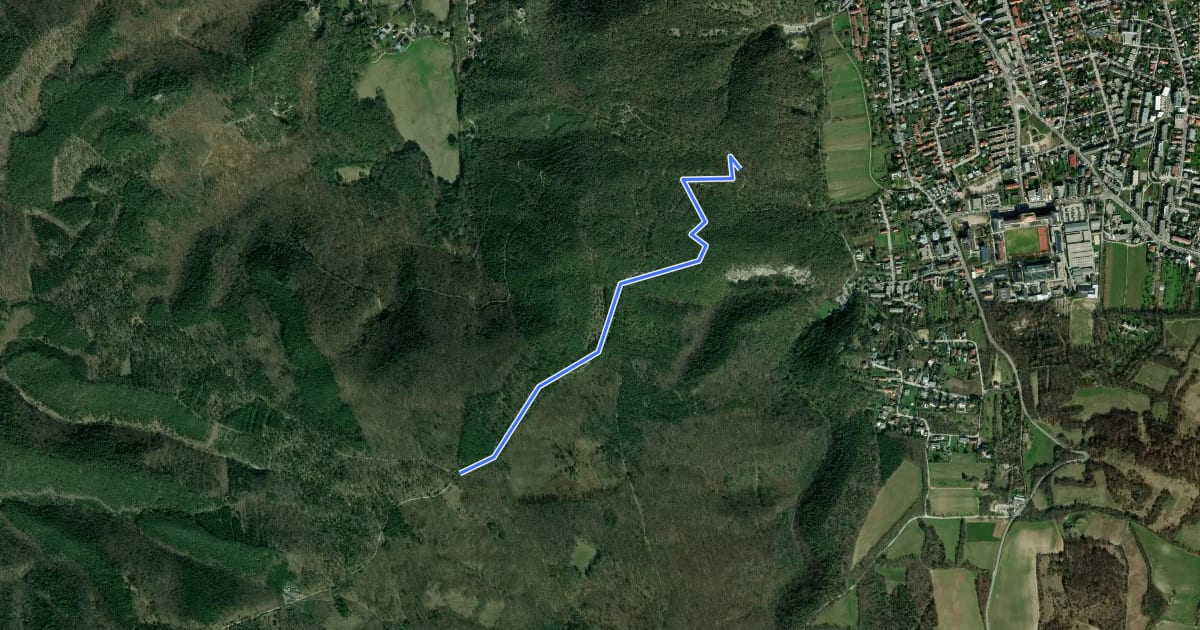 Маршрут Anninger Uphill на спутниковом снимке