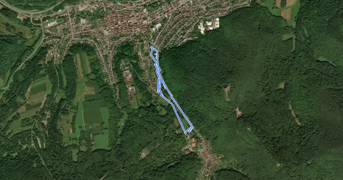 Маршрут Annweiler Nordic Walking 1 на спутниковом снимке