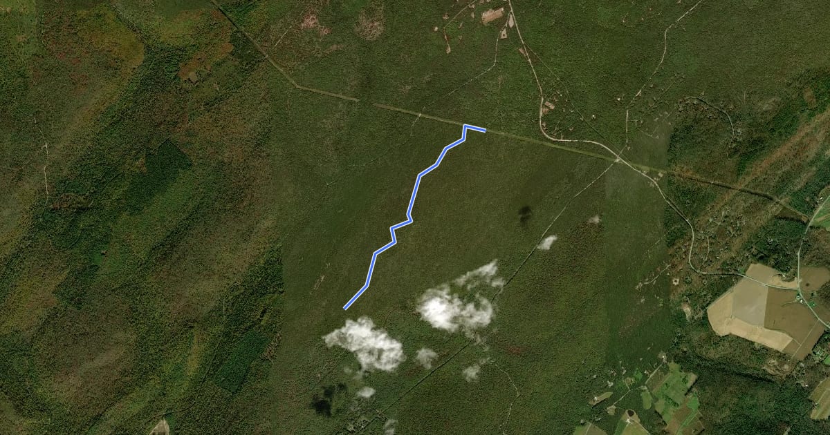 Маршрут Ant Hill Trail на спутниковом снимке