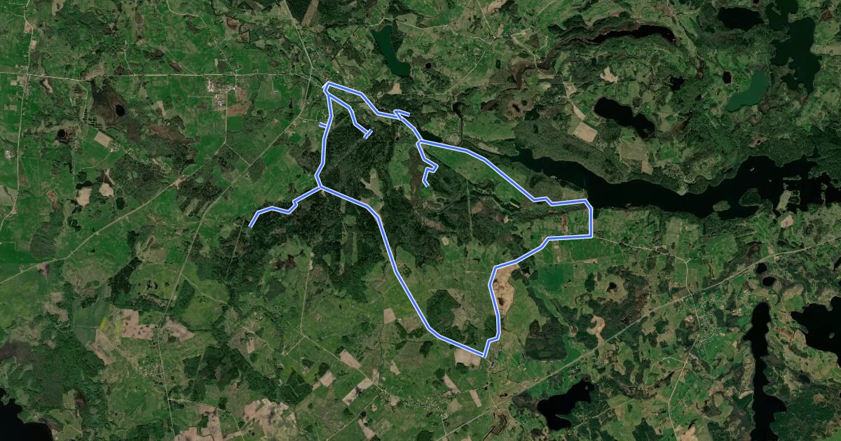 Маршрут Antalieptė - pasakiškas lieptų kraštas на спутниковом снимке
