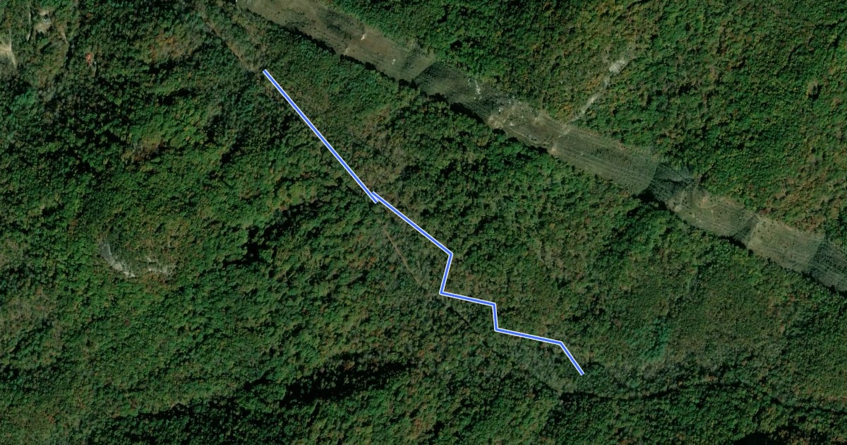 Маршрут Appalachian Lumber Trail (North) на спутниковом снимке