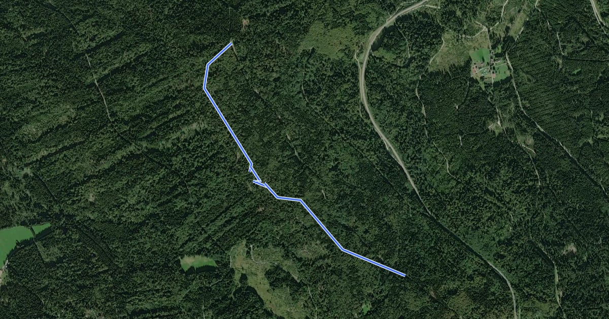 Маршрут Arberlandrunde на спутниковом снимке