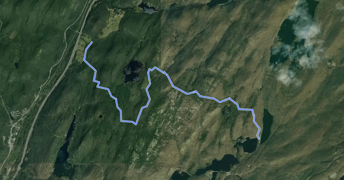 Маршрут Arden - Surebridge Trail на спутниковом снимке