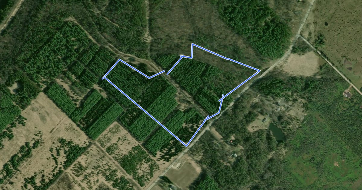 Маршрут Arkell Springs Loop Trail на спутниковом снимке