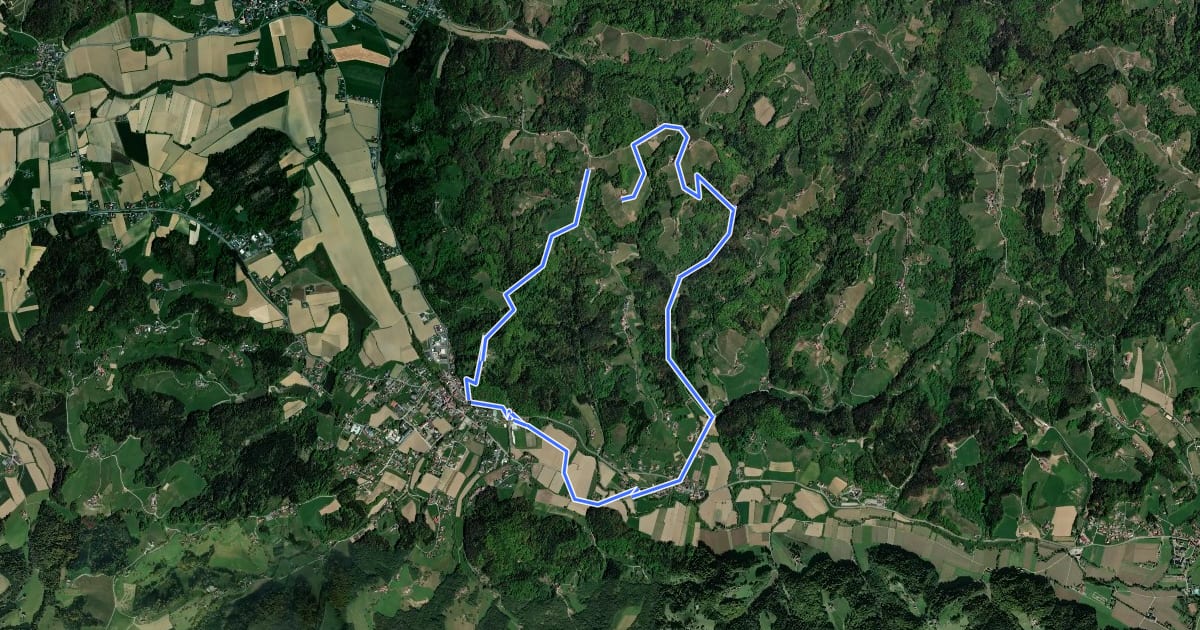 Маршрут Arnfelser Wege - Eichberg - E1 на спутниковом снимке