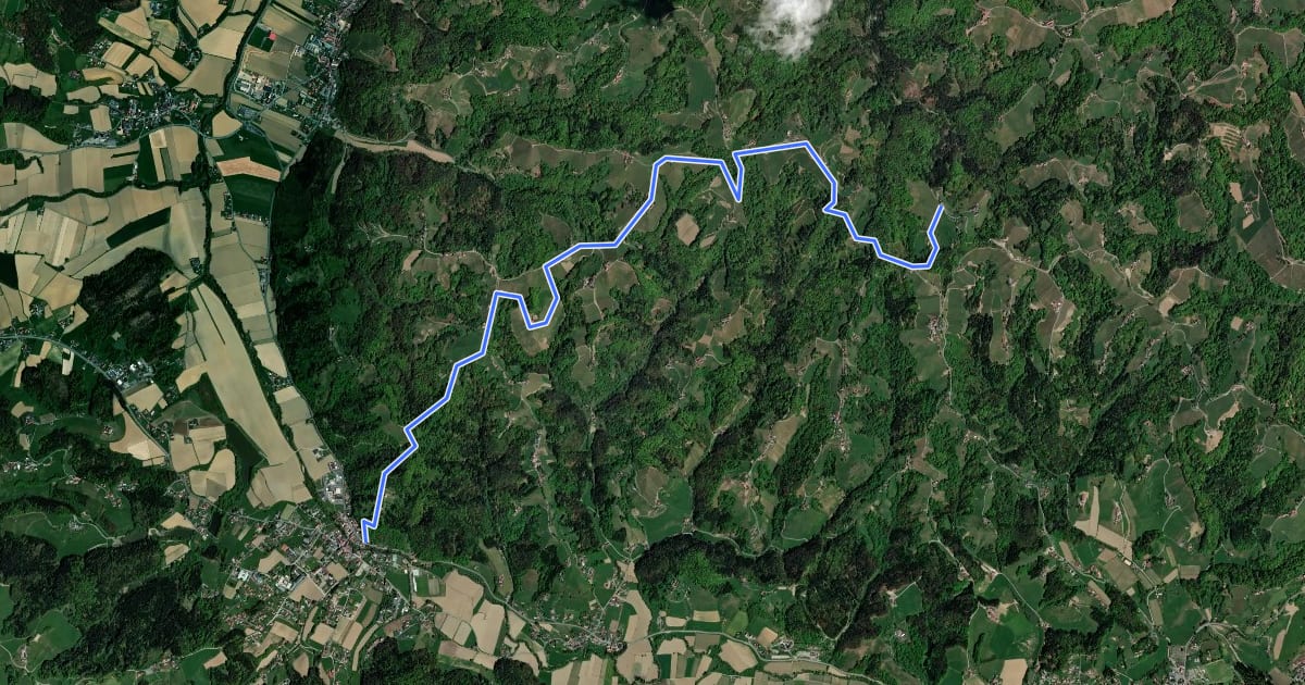 Маршрут Arnfelser Wege - Pilgerweg на спутниковом снимке