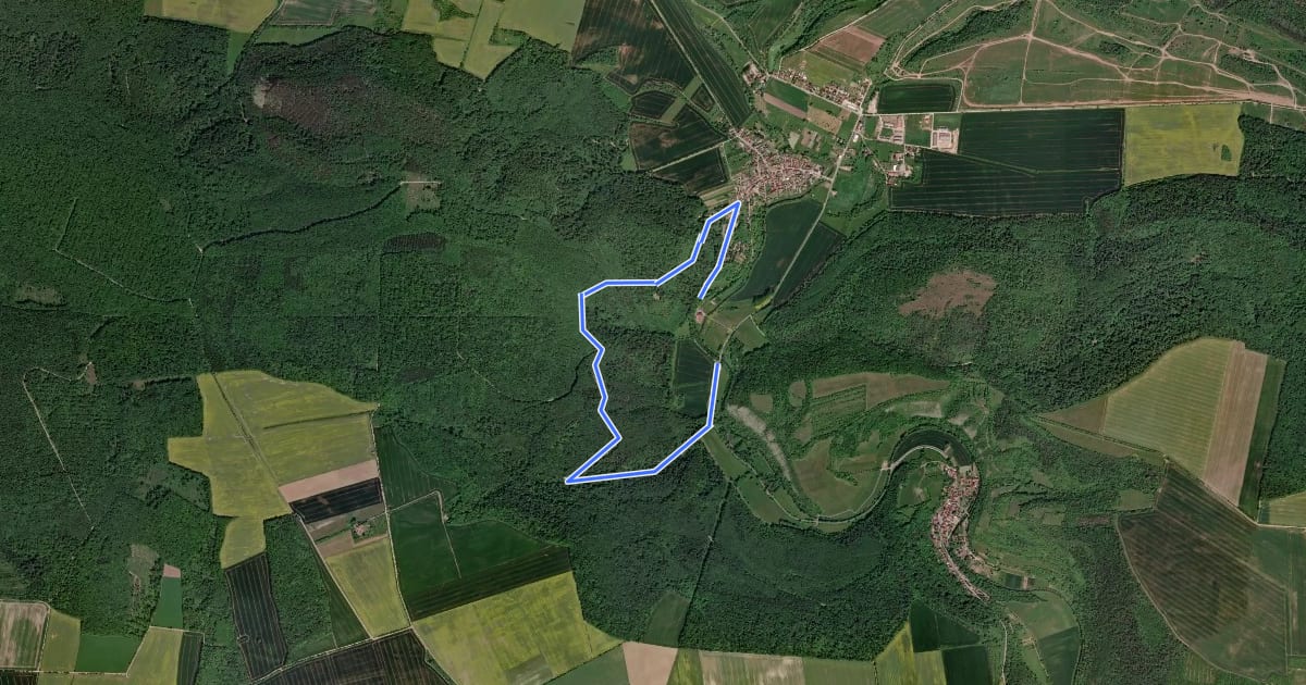 Маршрут Arnsburg-Rundweg на спутниковом снимке