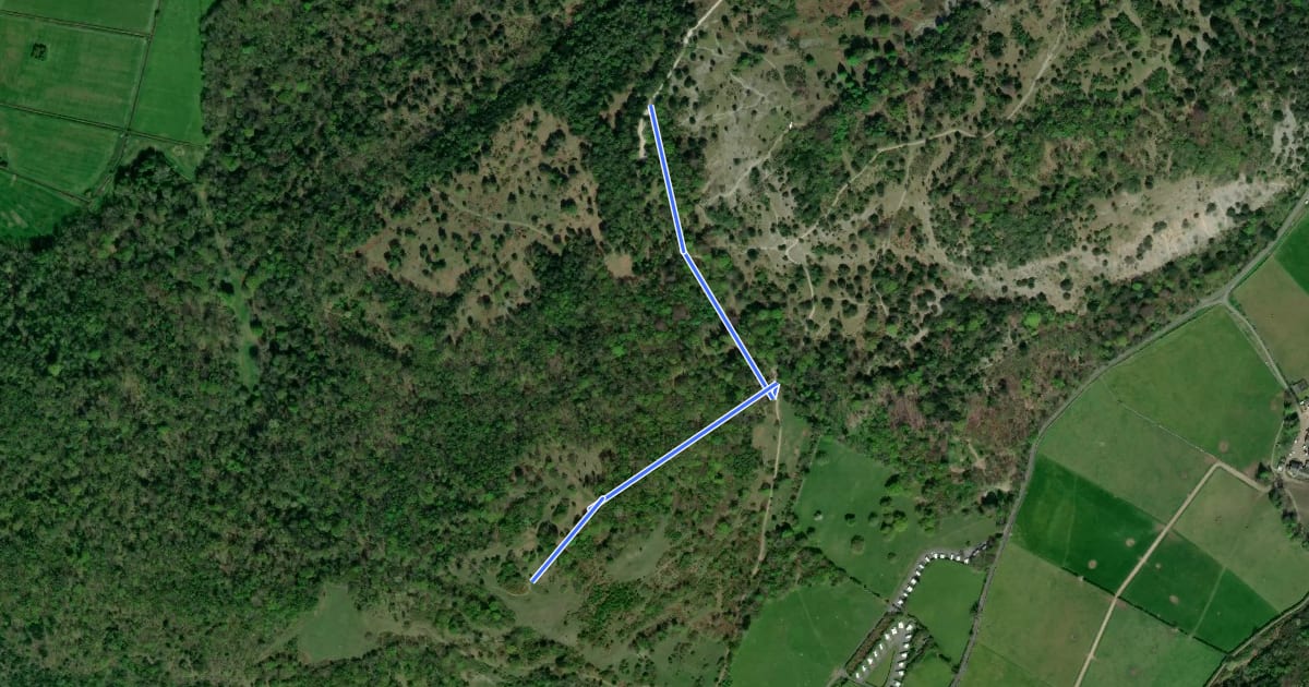 Маршрут Arnside Knott Tramper Trail, Arnside/Silverdale на спутниковом снимке