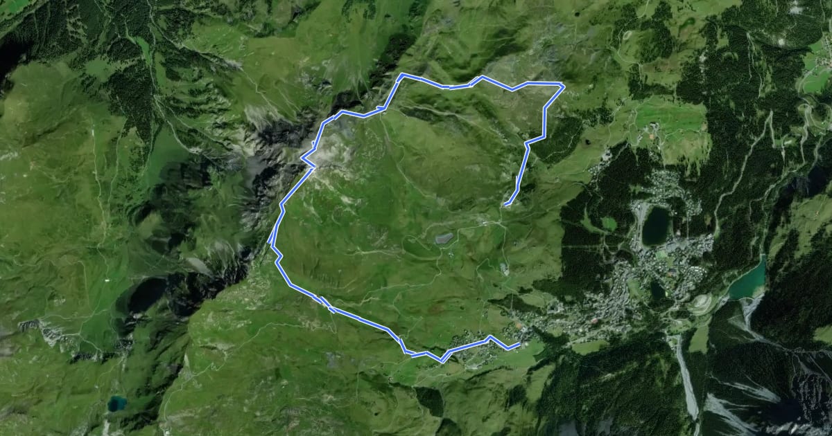 Маршрут Aroser-Weisshorn-Weg на спутниковом снимке