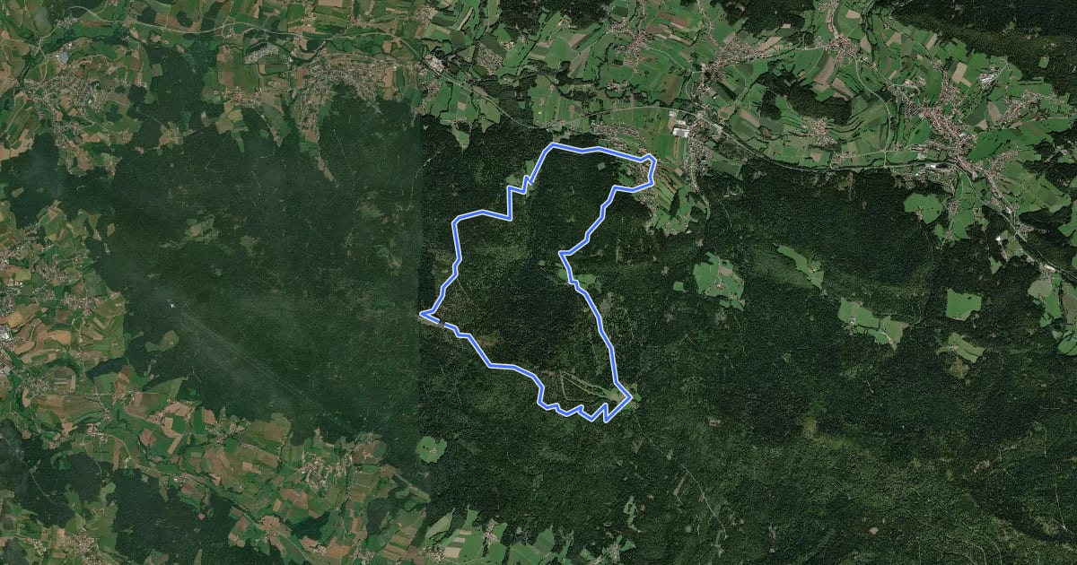 Маршрут Arrach Ar6 "Kaitersberg-Panorama-Weg" на спутниковом снимке