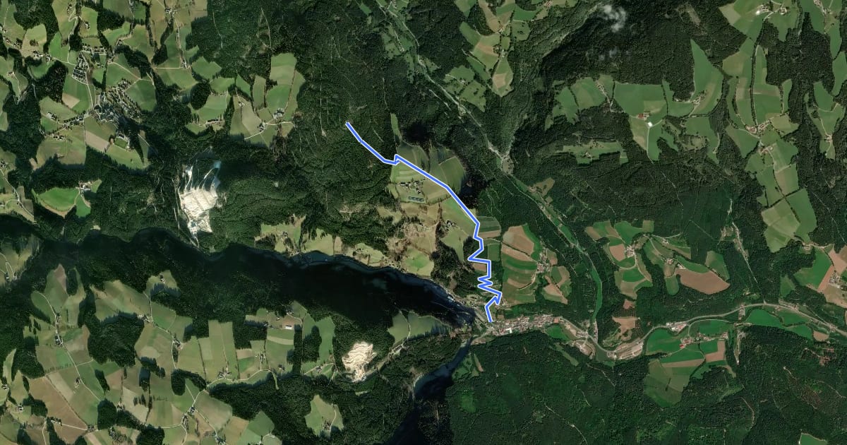 Маршрут Arzbergweg на спутниковом снимке